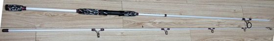China 100% CARBON 10' 3M 12' 3.6M Section: 2 C.W:60~200G SPINNING FISHING ROD supplier