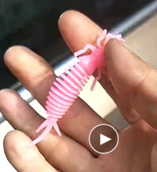 soft PVC 3' 3g 4' 4g shrimp smell green brown black yellow pink bass fishing lure fishing bait supplier