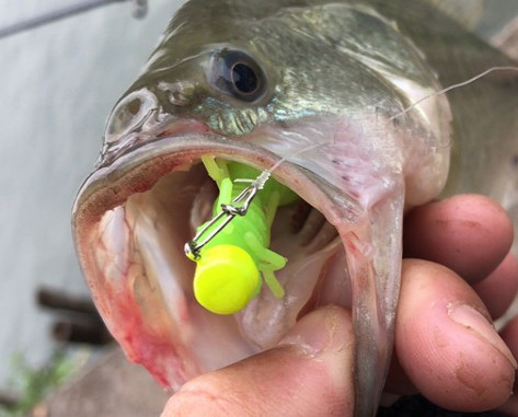 soft PVC 3' 3g 4' 4g shrimp smell green brown black yellow pink bass fishing lure fishing bait supplier