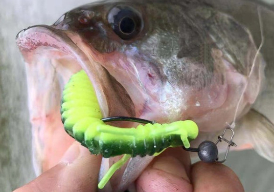 soft PVC 3' 3g 4' 4g shrimp smell green brown black yellow pink bass fishing lure fishing bait supplier