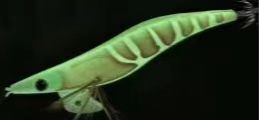Ergonomic Squid Jig Fishing Bait Designed for Easy Handling and Improved Casting Accuracy in Various Fishing Scenarios supplier